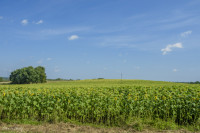 DSC_1770 1280x768.jpg