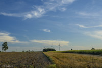 DSC_1858 1280x768.jpg