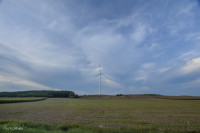 DSC_1908 1280x768.jpg