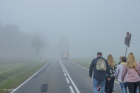 DSC_1991 1280x768.jpg