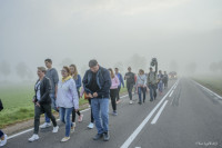 DSC_1996 1280x768.jpg