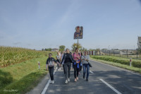 DSC_2097 1280x768.jpg