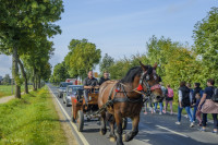 DSC_2146 1280x768.jpg