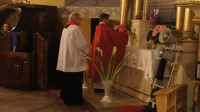 dsc07825.jpg