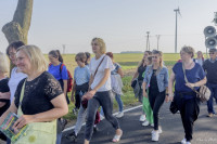 Parafialna Pielgrzymka do Żuromina