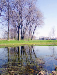 Jeziorko dworskie