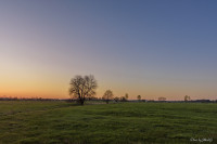 Dolina Mławki i bagna okoliczne - widok teraźniejszy okolic między Turzą a Dobrą Wolą