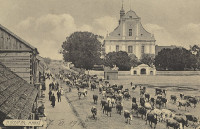 Rynek Żuromiński w roku 1916