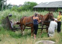 Kosiarka konna
