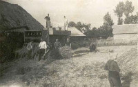 Młocenie zboża (lata 60-te, może 70-te)