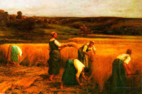 Żniwa sierpem - obraz z XIX w