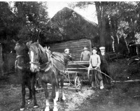 Przed siewem - siewnik konny