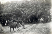 Podorywka