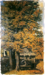 Stanisław Witkiewicz, "Młynek", rok 1877