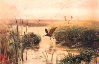 Józef Chełmoński, "Kurka wodna", rok 1894