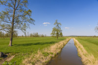 Mławka